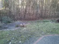 vorher 9.webp