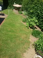 1. Sommer 3.webp