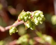 DSC_1326.2.webp