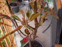 DSC01202.webp