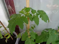 DSC01211.webp