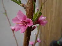 DSC01213.webp