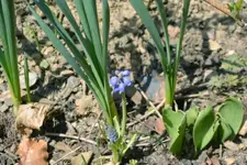 DSC_1391.2.webp