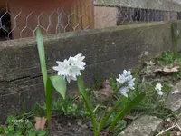 HPIM9364.webp