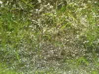 1366294178683.webp