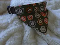 RIMG0017.webp