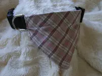 RIMG0025.webp