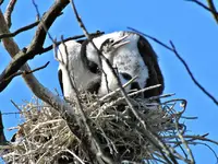 Copy of Copy of IMG_3624v.webp