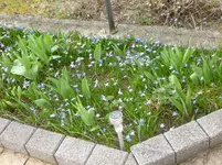 P1050341.webp