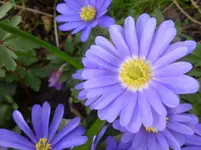 P1050330.webp