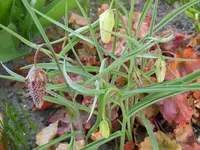 DSCN1904.webp