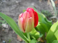 DSCN1908.webp