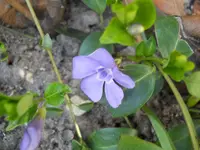 DSCN1910.webp