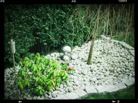 eyeemfiltered1366387548977.webp
