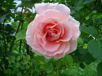 IMG_5724.webp