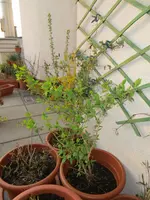 18.04.2013 001.webp