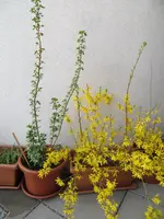 18.04.2013 003.webp