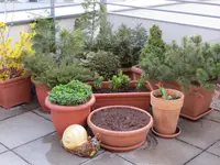 18.04.2013 008.webp