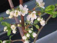 18.04.2013 012.webp