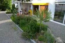 Kiesweg im Sommer mit einig.kl.pflanzen.webp