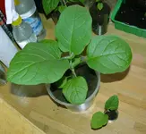 DSC_1582.2.webp