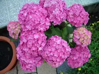 IMG_3914.webp