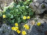 BILD0329.webp