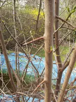 Unbekannt 20.04.webp