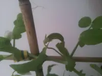 20130421_085850.webp