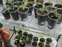 2013 024.webp