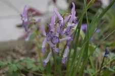 _DSC1339.webp