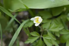 _DSC1340.webp