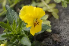 _DSC1363.webp