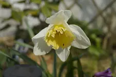 _DSC1347.webp