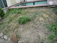 P1090815.webp