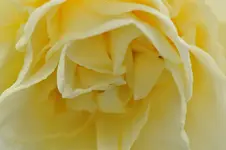 DSC_4112.webp