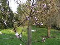 BILD2029.webp
