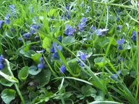 BILD2003.webp