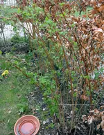 DSC_1637.2.webp