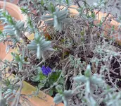 DSC_1744.3.webp