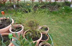 DSC_1655.2.webp