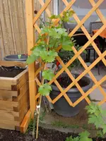 DSC01238.webp
