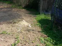 20130422_151023.webp 20130422_151023.webp