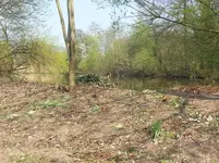 20130422_151054.webp