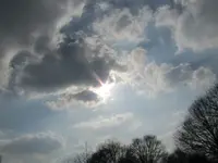040.webp