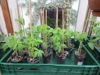 K1600_IMG_0017.webp