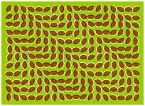 welle.webp