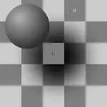 quadrat.webp quadrat.webp