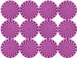 bild02.gif bild02.gif