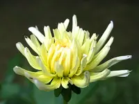 IMG_0266_1 Kopie.webp